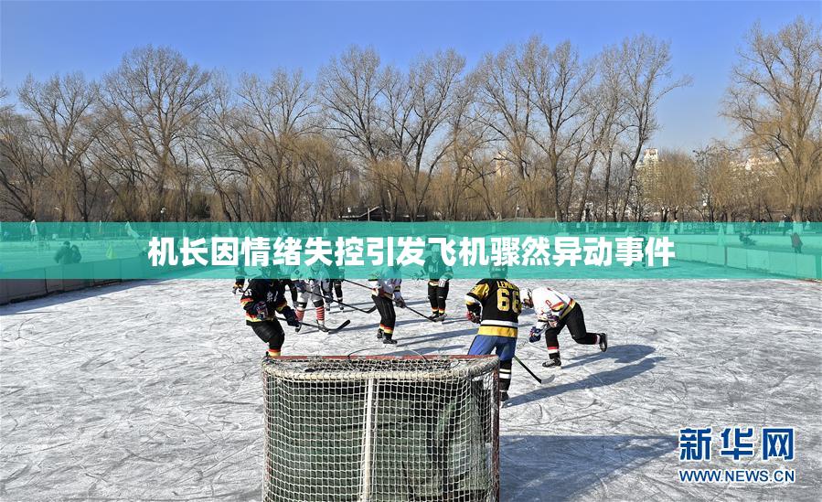 机长因情绪失控引发飞机骤然异动事件