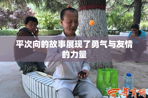 平次向的故事展现了勇气与友情的力量
