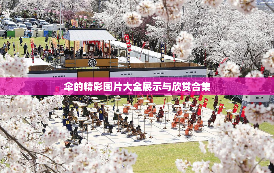 伞的精彩图片大全展示与欣赏合集
