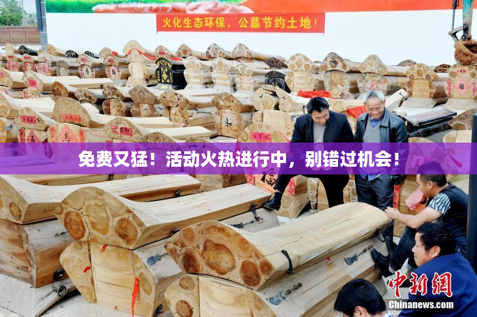 免费又猛！活动火热进行中，别错过机会！