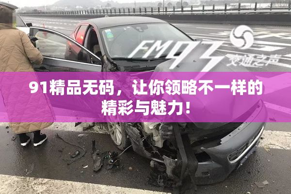 91精品无码，让你领略不一样的精彩与魅力！