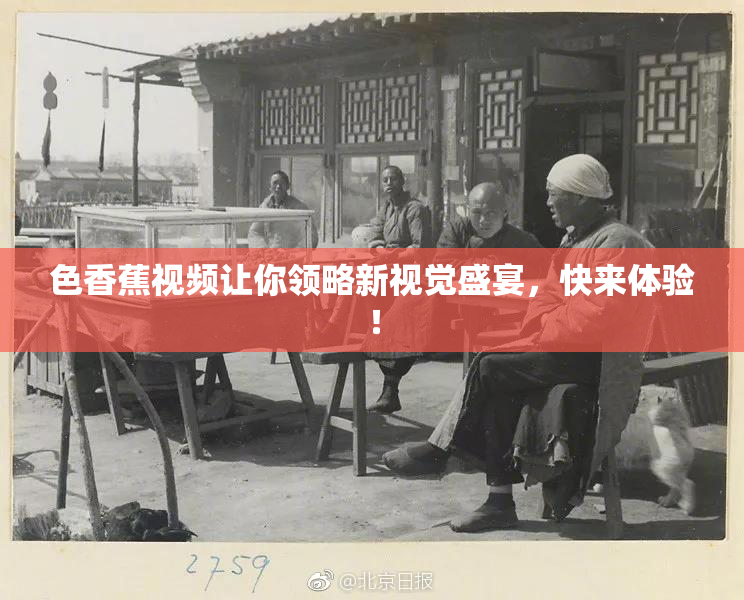 色香蕉视频让你领略新视觉盛宴，快来体验！