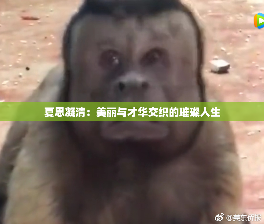 夏思凝清：美丽与才华交织的璀璨人生