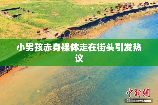 小男孩赤身裸体走在街头引发热议