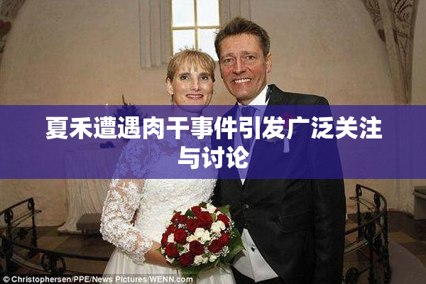 夏禾遭遇肉干事件引发广泛关注与讨论