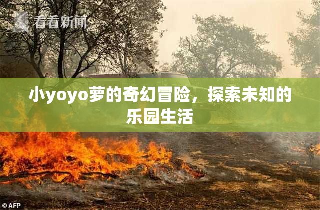 小yoyo萝的奇幻冒险，探索未知的乐园生活