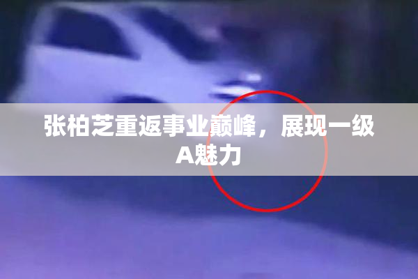 张柏芝重返事业巅峰，展现一级A魅力