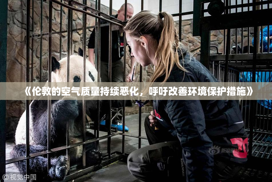 《伦敦的空气质量持续恶化，呼吁改善环境保护措施》