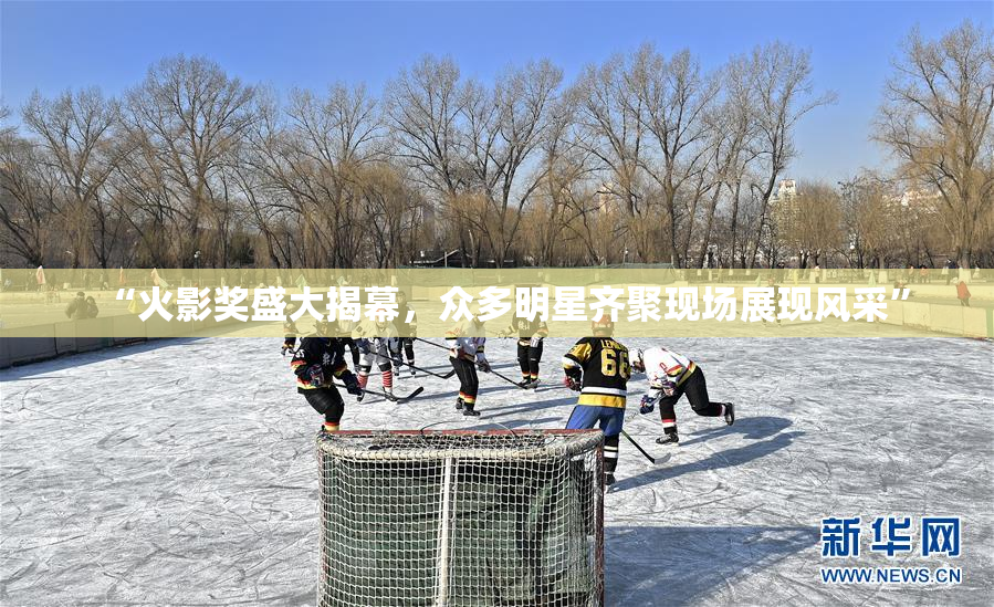 “火影奖盛大揭幕，众多明星齐聚现场展现风采”