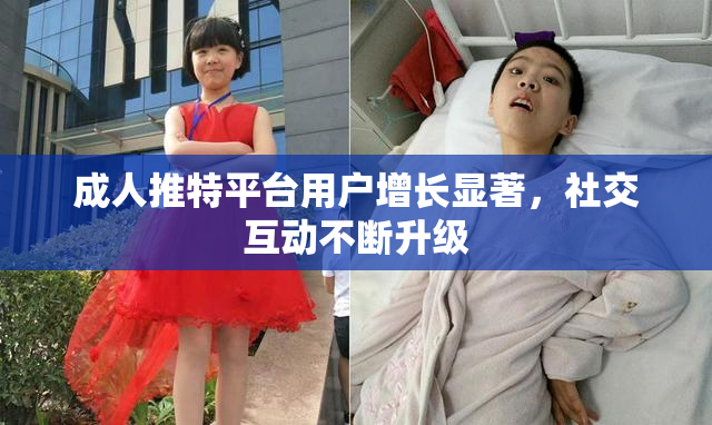 成人推特平台用户增长显著，社交互动不断升级