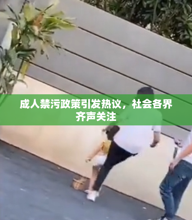 成人禁污政策引发热议，社会各界齐声关注