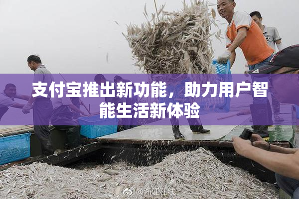 支付宝推出新功能，助力用户智能生活新体验