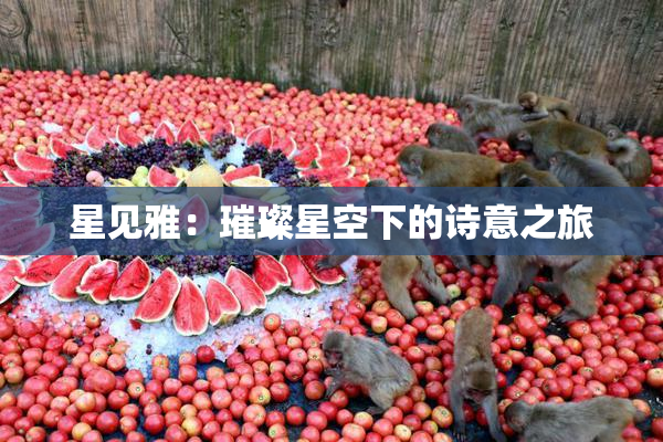 星见雅：璀璨星空下的诗意之旅