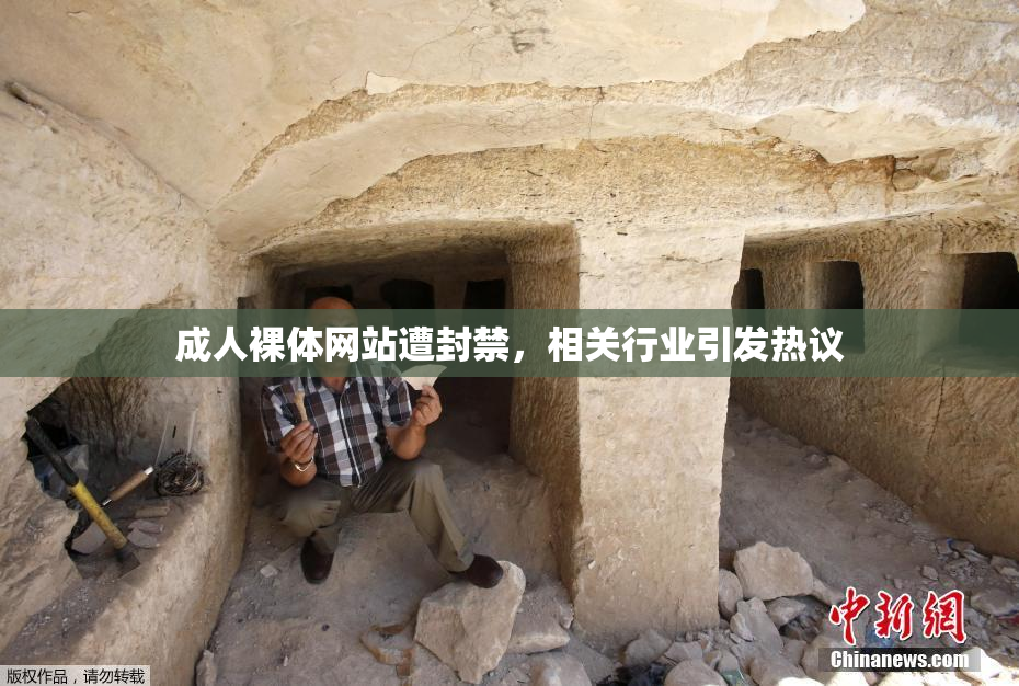 成人裸体网站遭封禁，相关行业引发热议