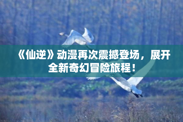 《仙逆》动漫再次震撼登场，展开全新奇幻冒险旅程！
