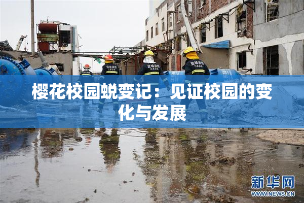 樱花校园蜕变记：见证校园的变化与发展