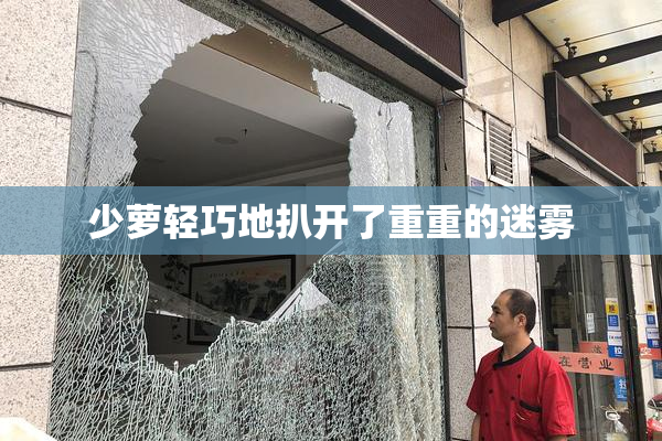 少萝轻巧地扒开了重重的迷雾