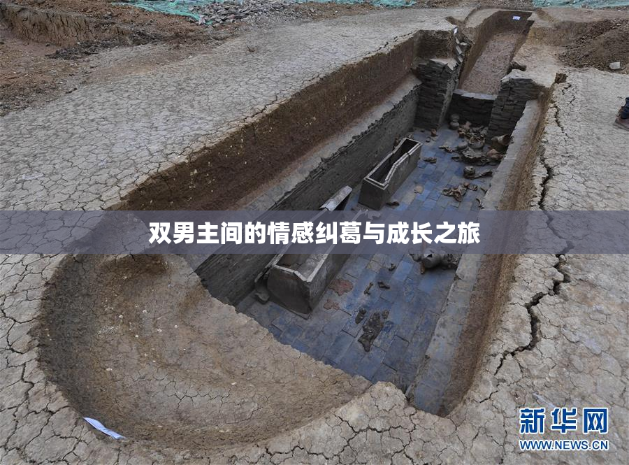 双男主间的情感纠葛与成长之旅