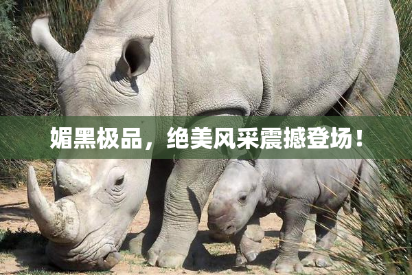 媚黑极品，绝美风采震撼登场！