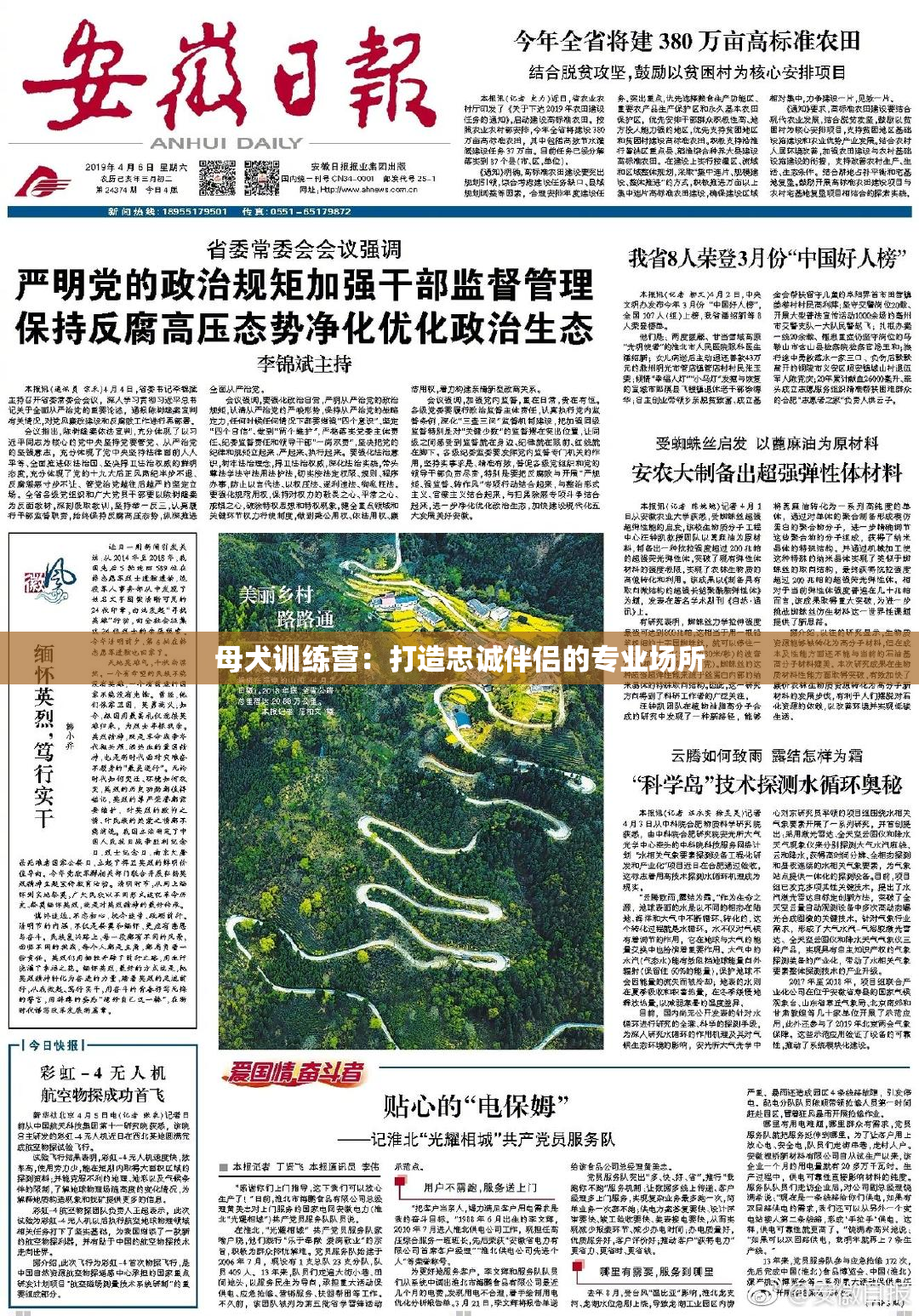 母犬训练营：打造忠诚伴侣的专业场所