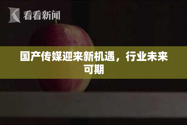 国产传媒迎来新机遇，行业未来可期