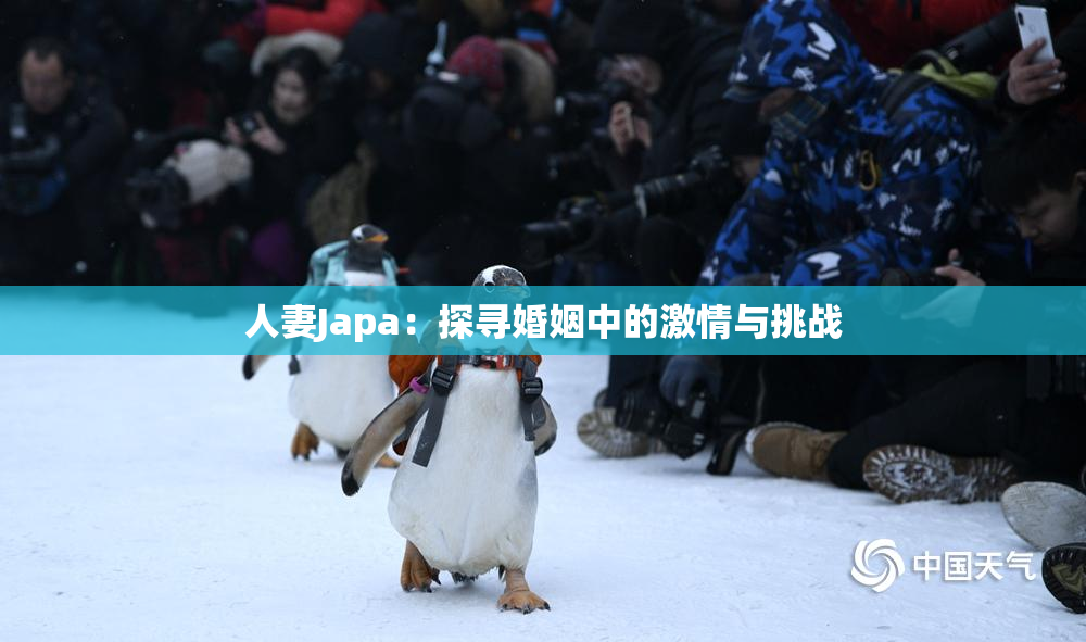 人妻Japa：探寻婚姻中的激情与挑战