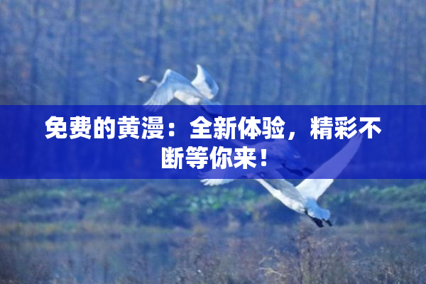 免费的黄漫：全新体验，精彩不断等你来！