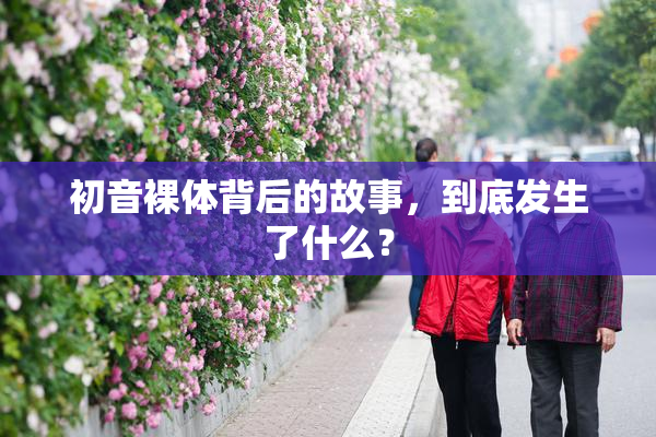 初音裸体背后的故事，到底发生了什么？