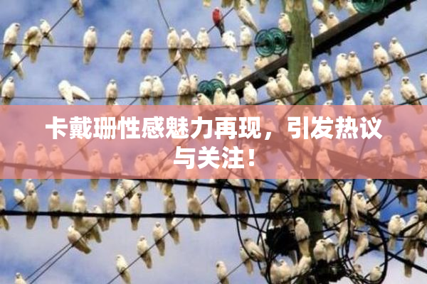 卡戴珊性感魅力再现，引发热议与关注！