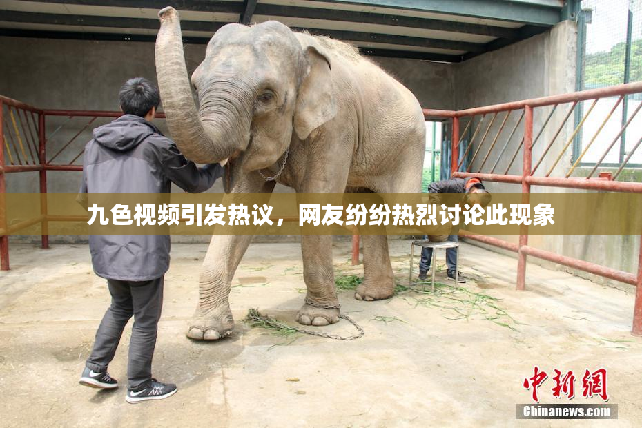 九色视频引发热议，网友纷纷热烈讨论此现象