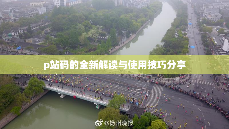 p站码的全新解读与使用技巧分享