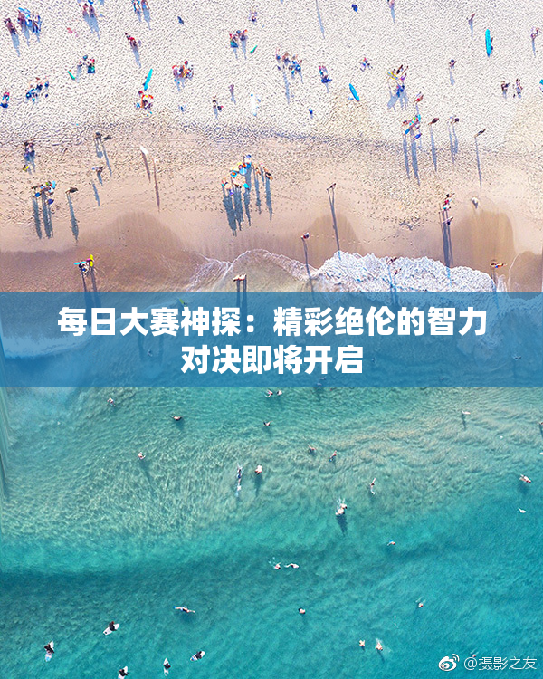 每日大赛神探：精彩绝伦的智力对决即将开启