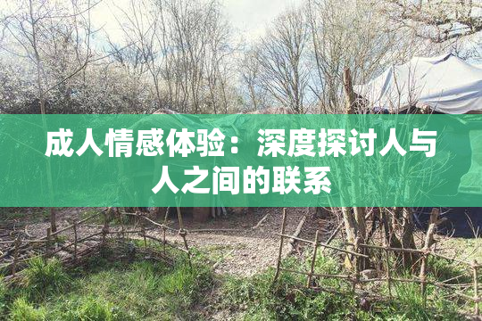 成人情感体验：深度探讨人与人之间的联系