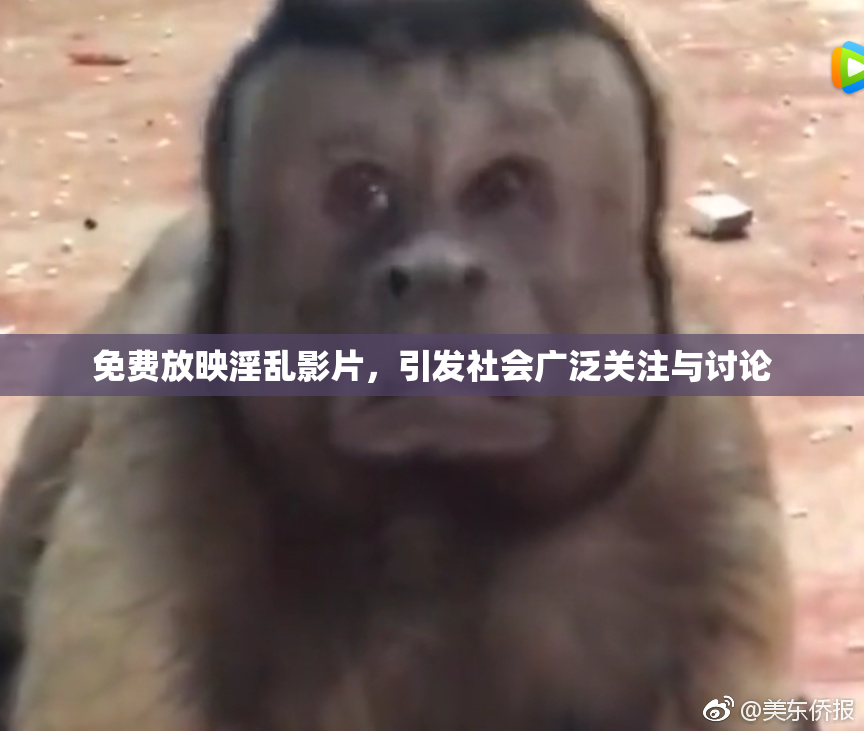 免费放映淫乱影片，引发社会广泛关注与讨论