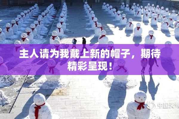 主人请为我戴上新的帽子，期待精彩呈现！