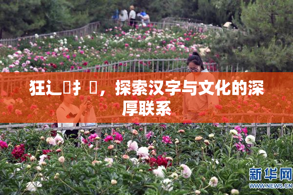 狂辶喿扌畐，探索汉字与文化的深厚联系
