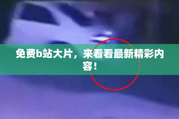 免费b站大片，来看看最新精彩内容！