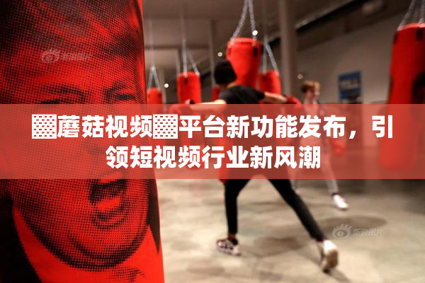 ▓蘑菇视频▓平台新功能发布，引领短视频行业新风潮