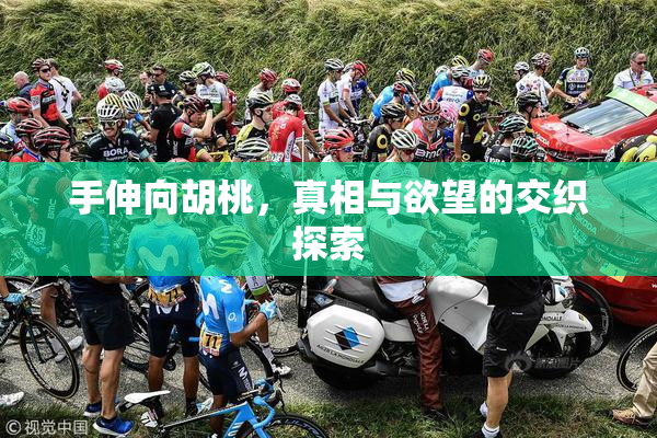 手伸向胡桃，真相与欲望的交织探索