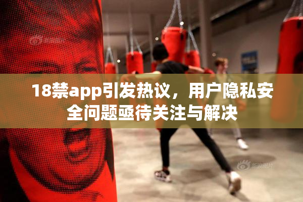 18禁app引发热议，用户隐私安全问题亟待关注与解决
