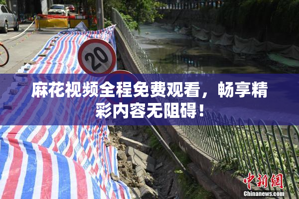 麻花视频全程免费观看，畅享精彩内容无阻碍！