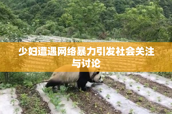 少妇遭遇网络暴力引发社会关注与讨论
