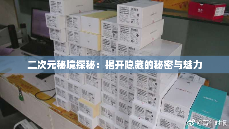 二次元秘境探秘：揭开隐藏的秘密与魅力