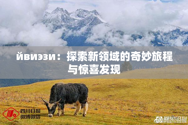 йвиэзи：探索新领域的奇妙旅程与惊喜发现