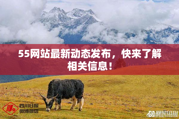 55网站最新动态发布，快来了解相关信息！