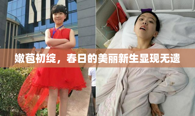 嫩苞初绽，春日的美丽新生显现无遗