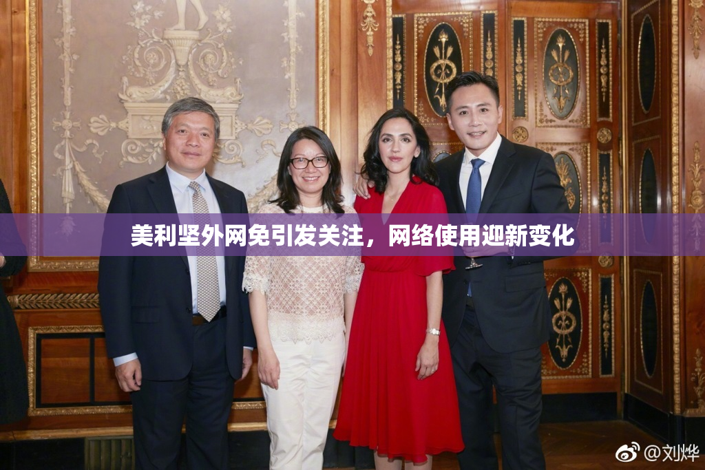 美利坚外网免引发关注，网络使用迎新变化