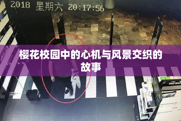 樱花校园中的心机与风景交织的故事