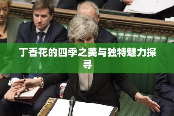 丁香花的四季之美与独特魅力探寻