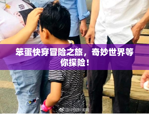 笨蛋快穿冒险之旅，奇妙世界等你探险！